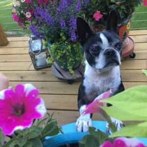 Meet your Posher, Kaye